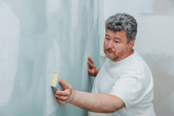Best Dehumidification Services  in Kenova, WV