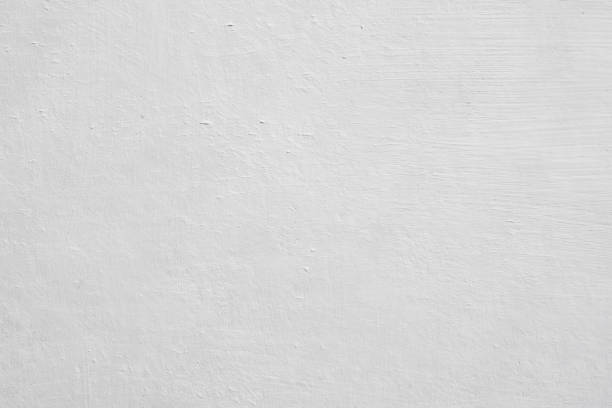 Best Attic Mold Removal  in Kenova, WV