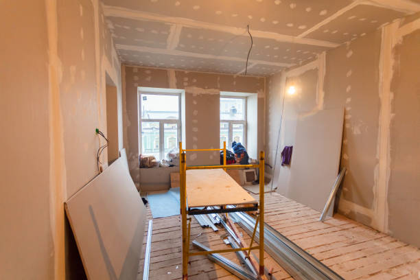 Best Post-Construction Mold Inspection  in Kenova, WV